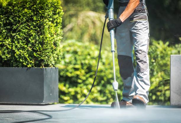 Best Sidewalk and Walkway Cleaning  in Desoto Lakes, FL