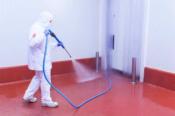 Best Spring Cleaning  in Desoto Lakes, FL