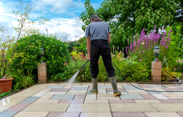 Best Fence Cleaning  in Desoto Lakes, FL